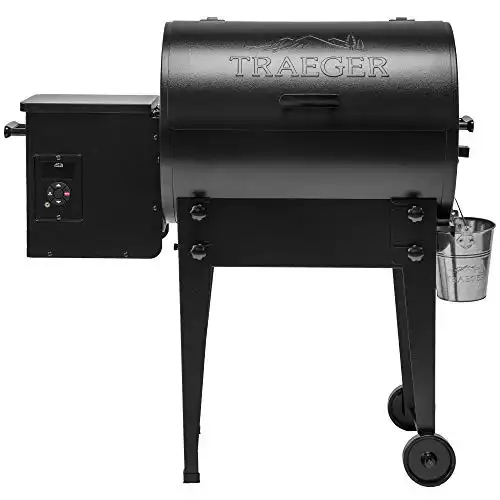 Traeger Grills Tailgater 20 Portable Wood Pellet Grill And Smoker